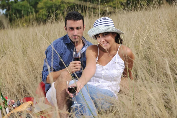 Feliz pareja disfrutando de campo picnic en hierba larga — Foto de Stock