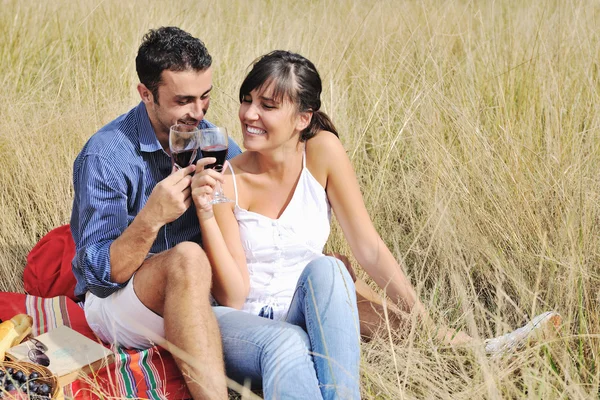 Couple heureux appréciant la campagne pique-nique dans l'herbe longue — Photo