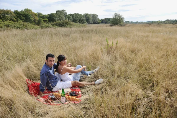 Mutlu çift uzun çimenlerde pikniğin tadını çıkarıyor. — Stok fotoğraf