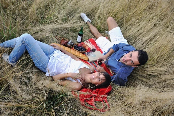 Pasangan bahagia menikmati piknik pedesaan di rumput panjang — Stok Foto