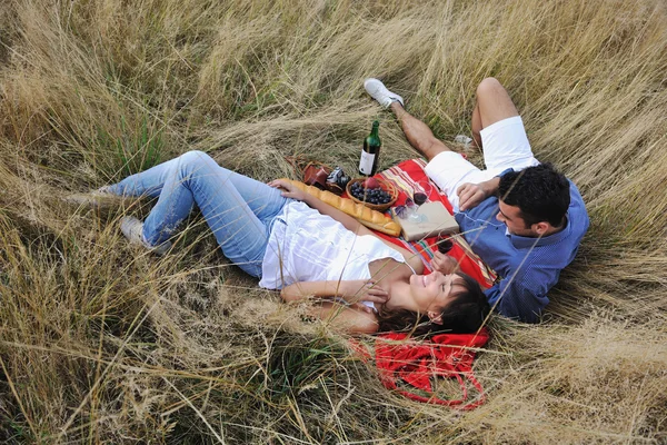Casal feliz desfrutando de piquenique rural em grama longa — Fotografia de Stock