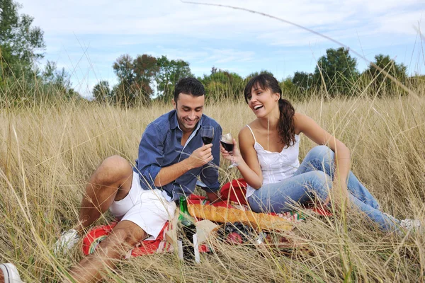 Happy couple enjoying countryside picnic in long grass — Stock Photo, Image
