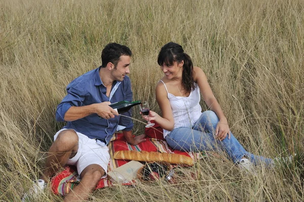 快乐的夫妇在长草丛中享受乡村野餐 — 图库照片