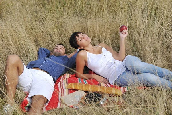 Щаслива пара насолоджується сільським пікніком у довгій траві — стокове фото