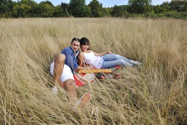 Mutlu çift uzun çimenlerde pikniğin tadını çıkarıyor. — Stok fotoğraf
