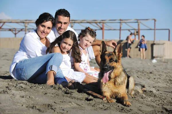 Boldog család játszik kutya a strandon — Stock Fotó