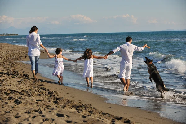 해변에서 개 랑노는 행복 한 가족 — 스톡 사진