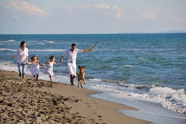 Boldog család játszik kutya a strandon — Stock Fotó