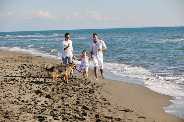 Happy family playing with dog on beach — Stock Photo, Image