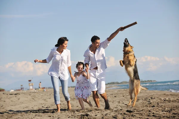 Lycklig familj leker med hunden på stranden — Stockfoto