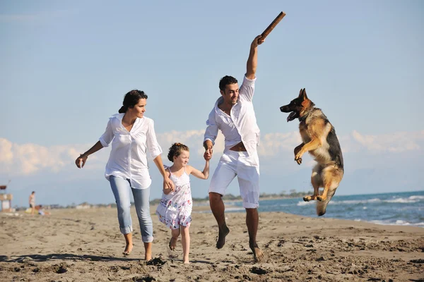 Família feliz brincando com o cão na praia — Fotografia de Stock