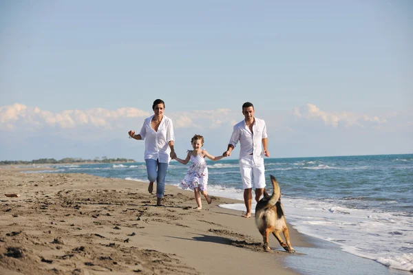 Glückliche Familie spielt mit Hund am Strand — Stockfoto