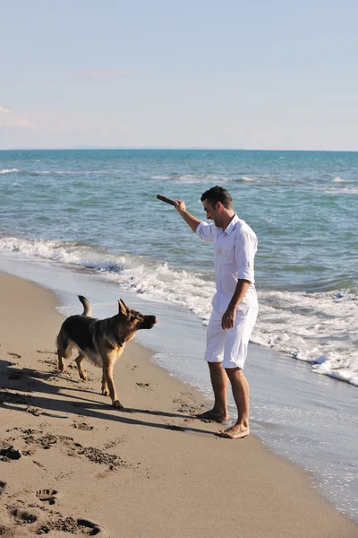 Gelukkig familie spelen met hond op het strand — Stockfoto