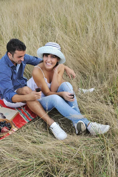 Happy couple enjoying countryside picnic in long grass Royalty Free Stock Photos