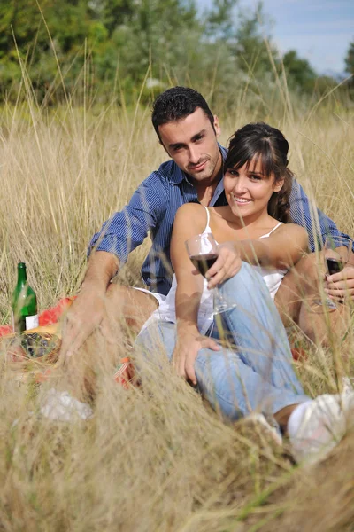 Happy couple enjoying countryside picnic in long grass Royalty Free Stock Photos