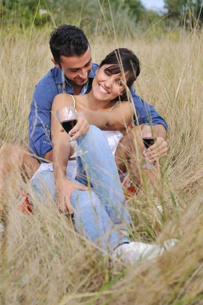 Happy couple enjoying countryside picnic in long grass Royalty Free Stock Images