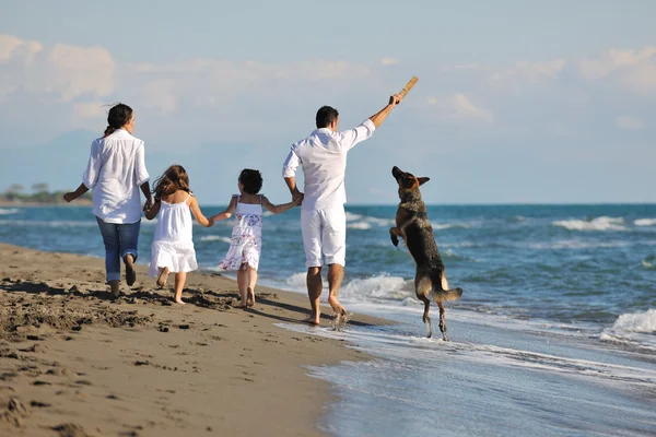 Счастливая семья, играющая с собакой на пляже Стоковая Картинка
