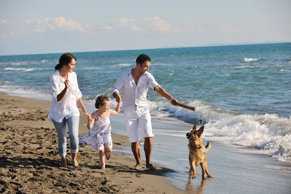 Lycklig familj leker med hunden på stranden Stockfoto