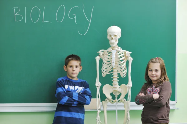 Aprender biologia na escola — Fotografia de Stock