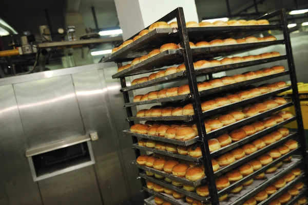 Fabriek broodproductie — Stockfoto