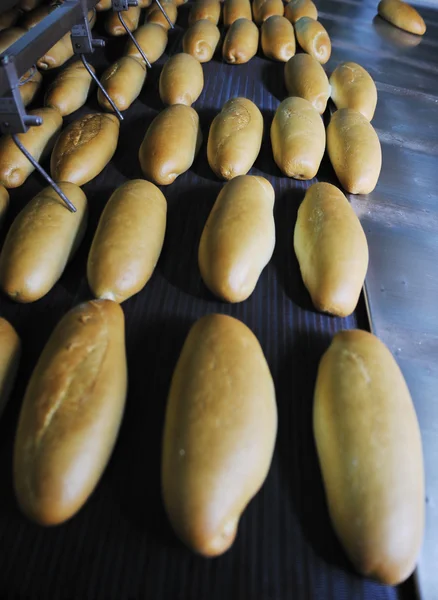 Producción de la fábrica de pan — Foto de Stock