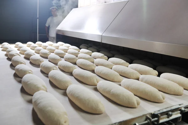 Fabriek broodproductie — Stockfoto