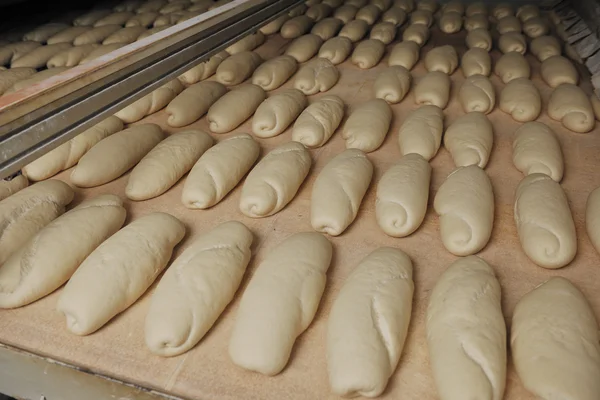 Produção de fábrica de pão — Fotografia de Stock