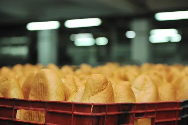 Ekmek Fabrikası üretim — Stok fotoğraf