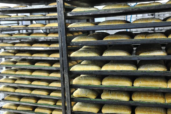 パン工場の生産 — ストック写真