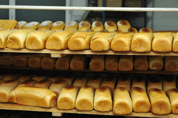 Ekmek Fabrikası üretim — Stok fotoğraf