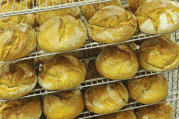 面包厂生产 — 图库照片