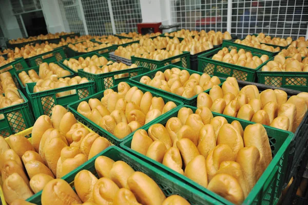 Brotfabrikproduktion — Stockfoto