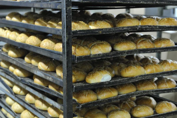 Ψωμί εργοστάσιο παραγωγής — Φωτογραφία Αρχείου