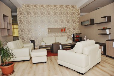 Modern salon yeni mobilya ve ev dekorasyonu ile kapalı