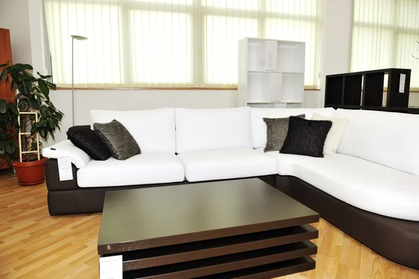 Modernes Wohnzimmer Innenbereich Mit Neuen Möbeln Und Dekorationen — Stockfoto