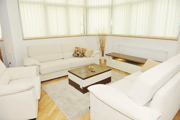 Salón Moderno Interior Con Muebles Nuevos Decoraciones Para Hogar — Foto de Stock