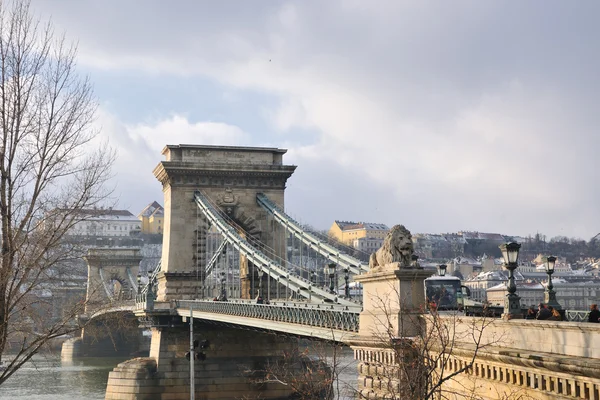 Vecchio Ponte Catena Budapest Giorno Sul Fiume Danube — Foto Stock