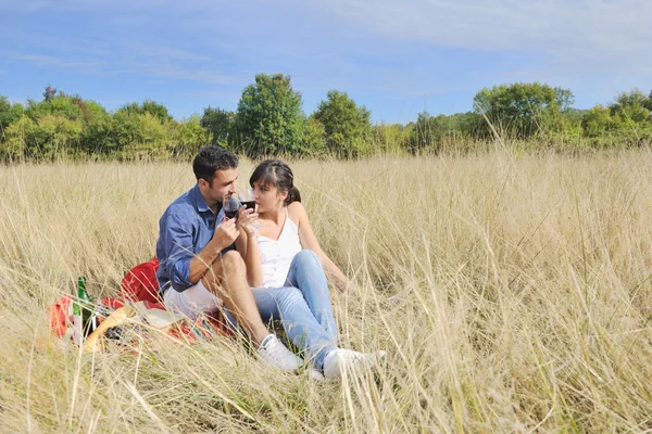 Lyckligt par njuter av landsbygden picknick i långt gräs — Stockfoto