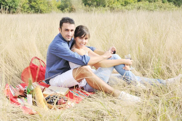 一对快乐的年轻夫妇在田野里野餐 玩得很开心 — 图库照片