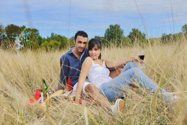 Happy Young Couple Enjoying Picnic Countryside Field Have Good Time — Stock Photo, Image