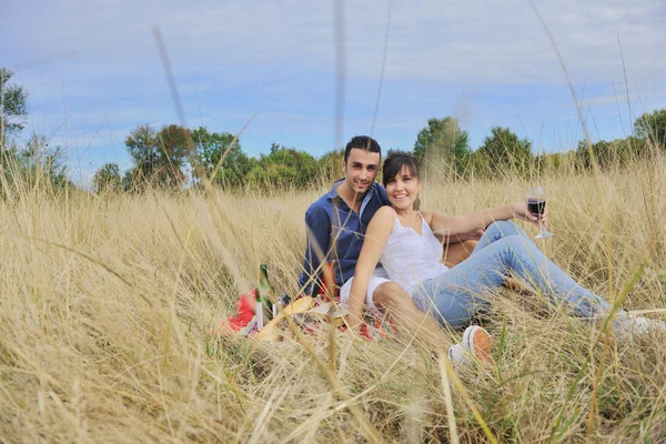 Szczęśliwa para korzystających wiejski piknik w długiej trawie — Zdjęcie stockowe