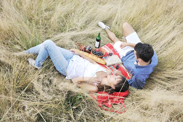 Счастливая пара наслаждается пикником в сельской местности на длинной траве — стоковое фото