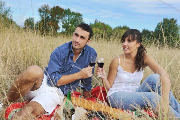 Felice coppia godendo campagna picnic in erba lunga — Foto Stock