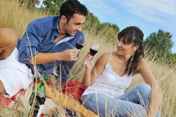 幸せな若いカップルが田舎でピクニックを楽しんで楽しい時間を過ごす — ストック写真