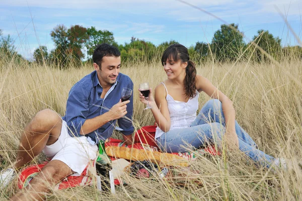 一对快乐的年轻夫妇在田野里野餐 玩得很开心 — 图库照片