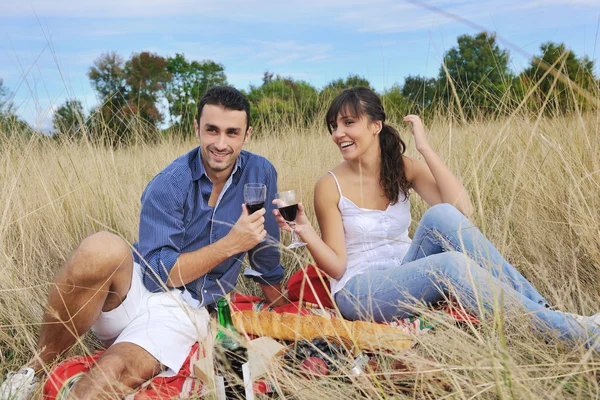 Šťastný pár těší venkovské piknik v dlouhé trávě — Stock fotografie