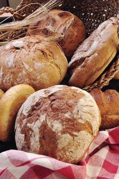 Grupo de alimentos de pan fresco y trigo — Foto de Stock