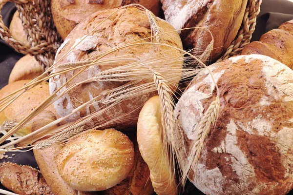Grupo de alimentos de pan fresco y trigo — Foto de Stock