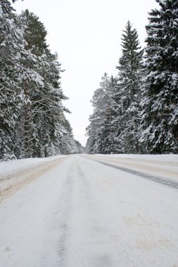 Snowy country road view from below clipart