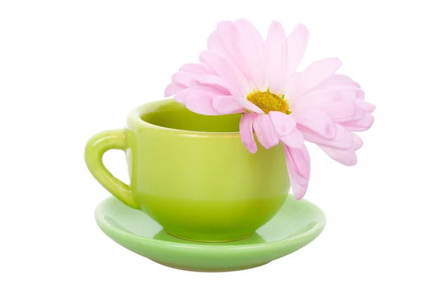 Green cup with flower — Stock Photo, Image